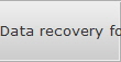 Data recovery for Nevada data
